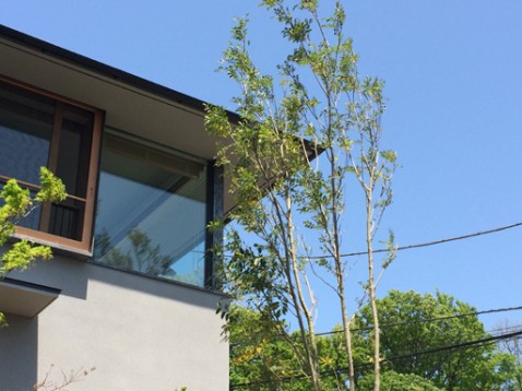 横浜「日吉本町の家」植栽工事