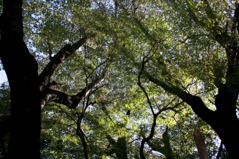 移転のお知らせ