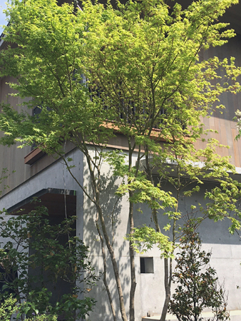 「相模原の家」オープンハウスのご案内