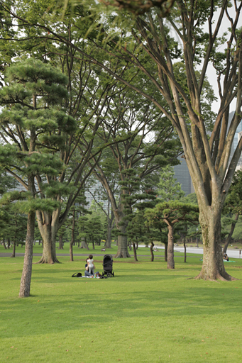 Tokyo Central Park