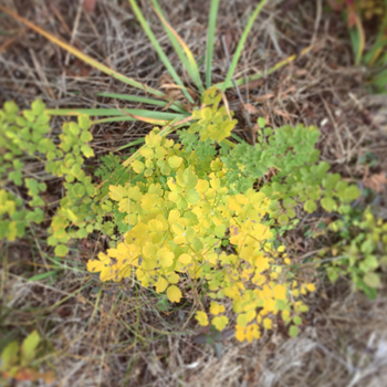 worksを更新しました。